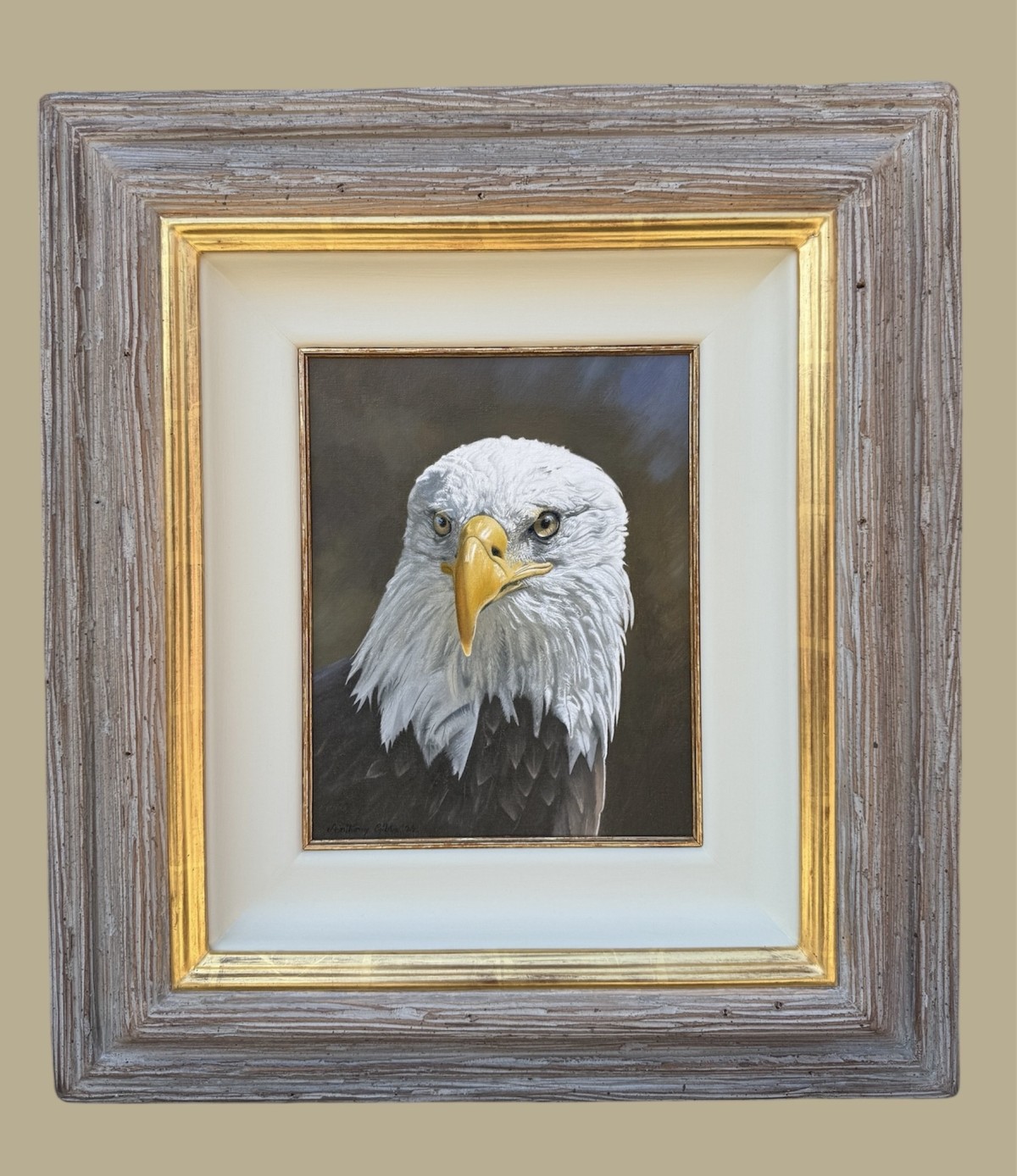 American Icon (Bald Eagle)