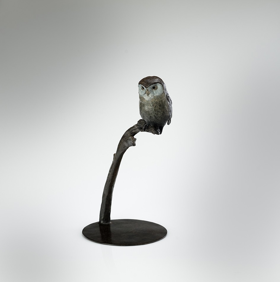 Little Owl