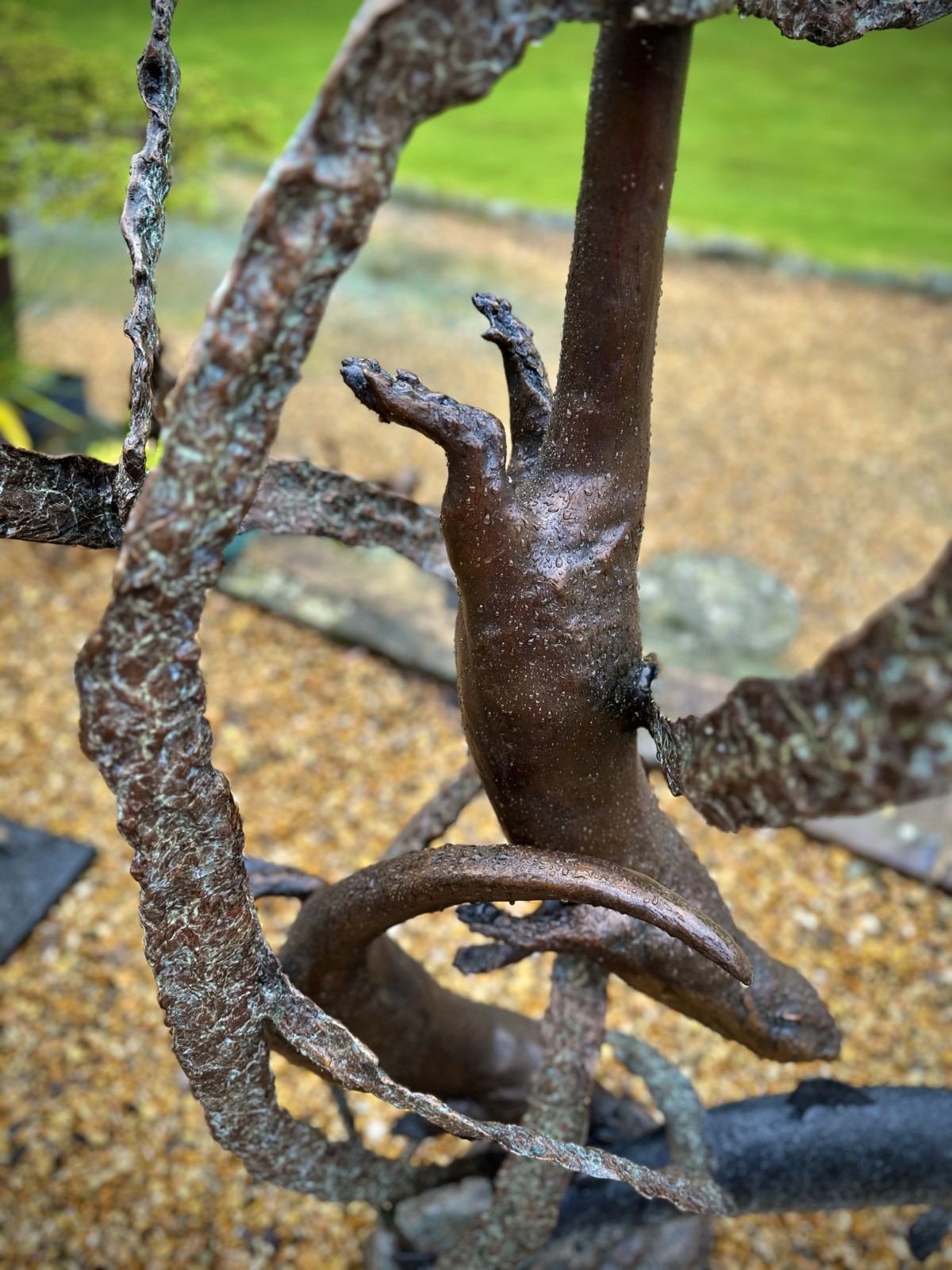 Playful Otters!