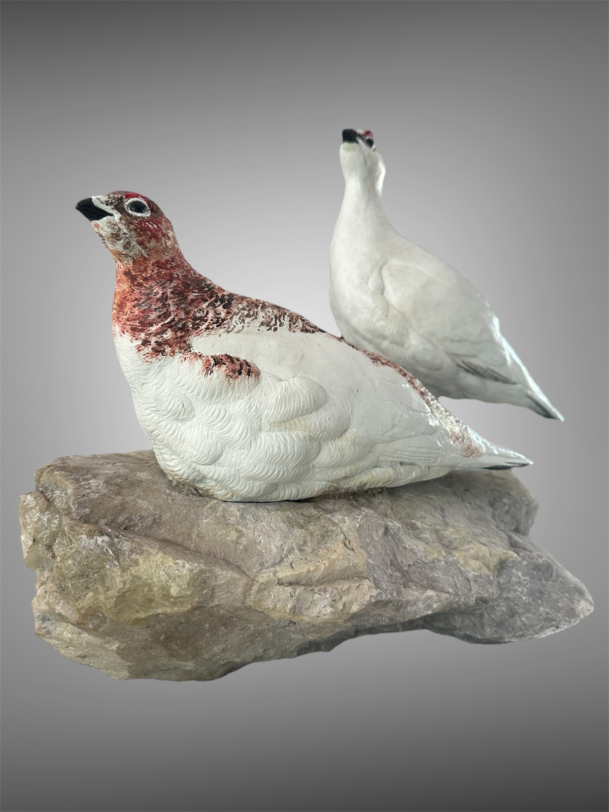 Ptarmigan on Scottish Marble