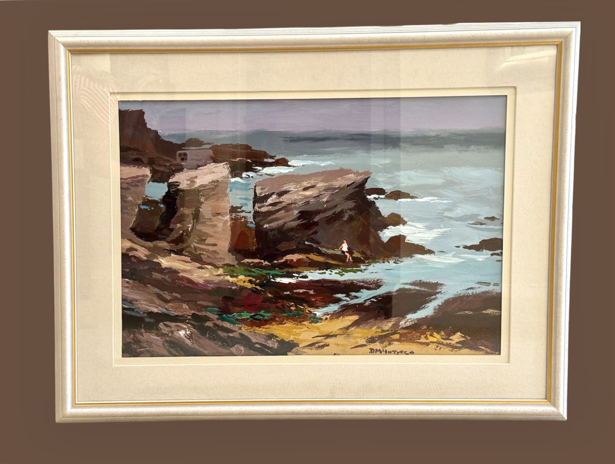 Rocky Shore Anglesey No 1