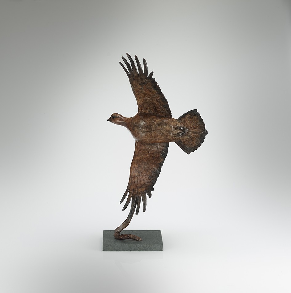 Single Grouse