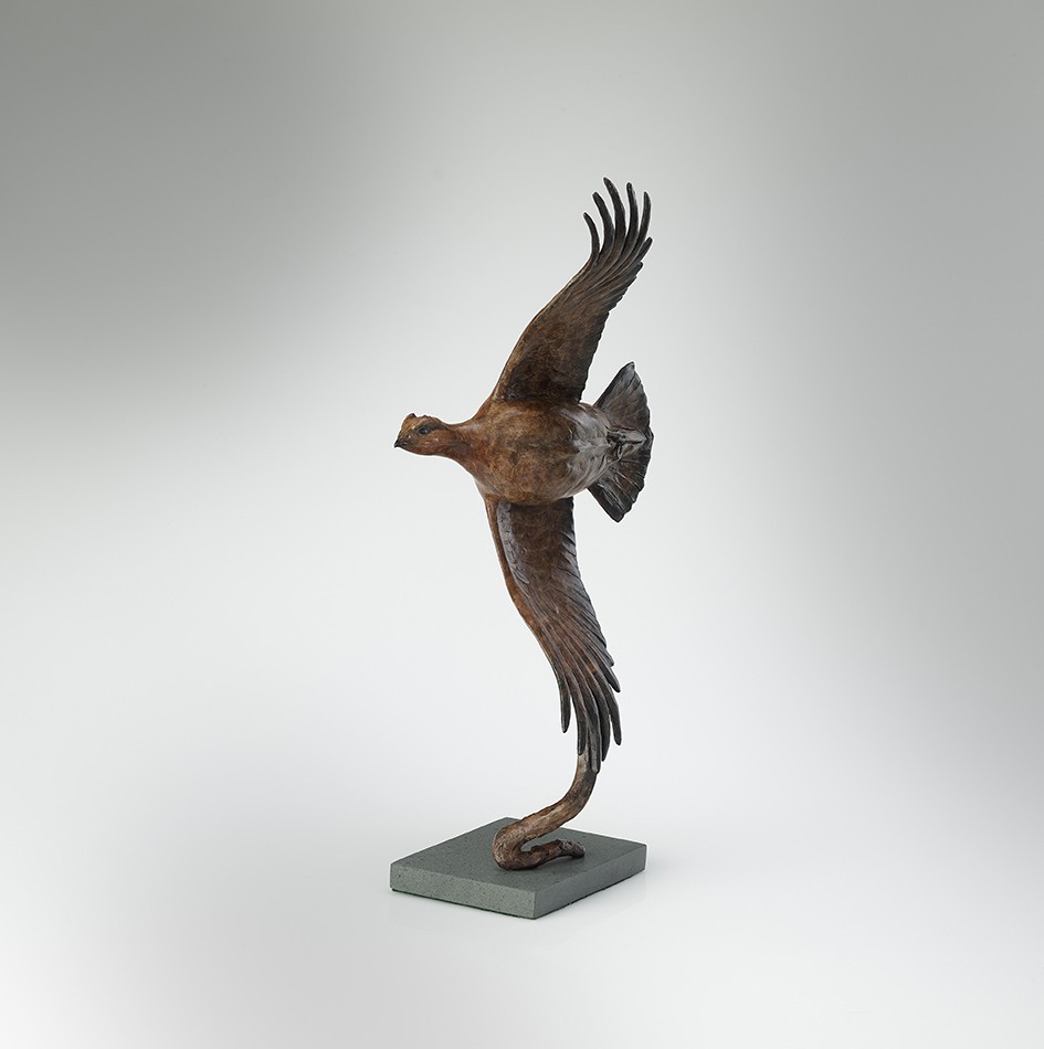 Single Grouse