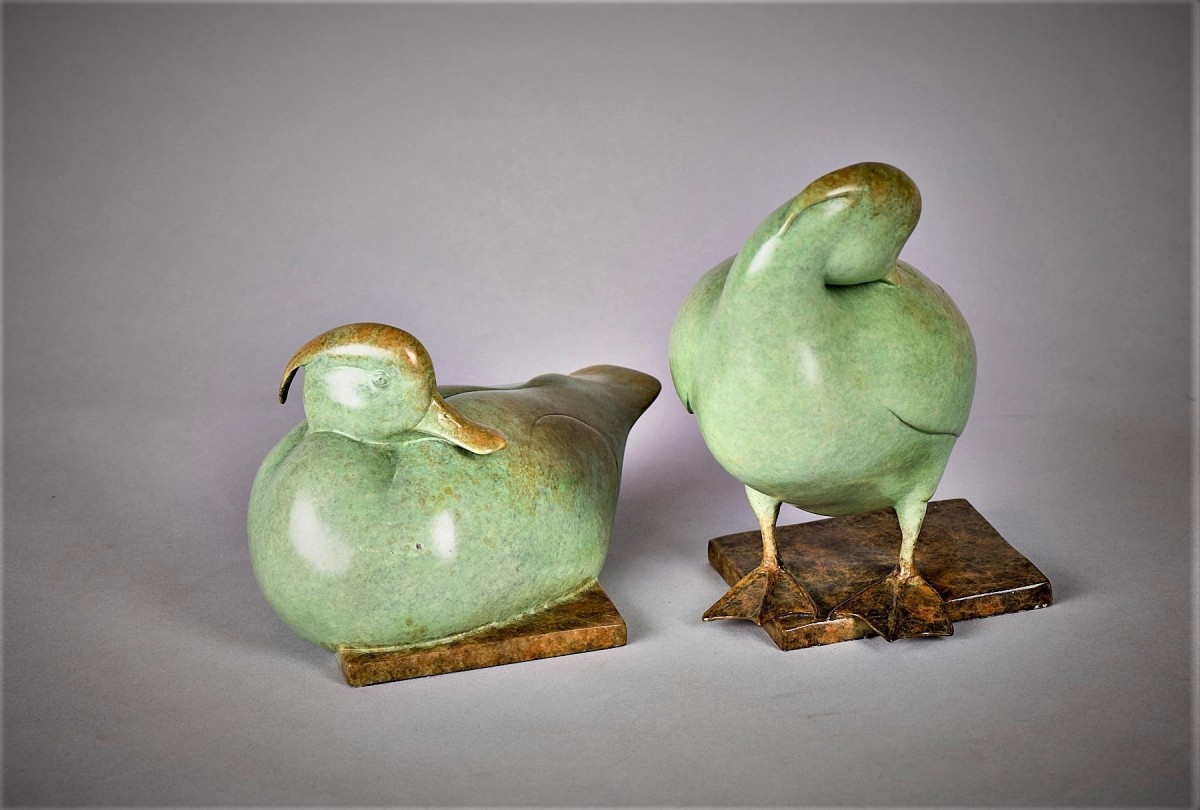 Tufted Ducks