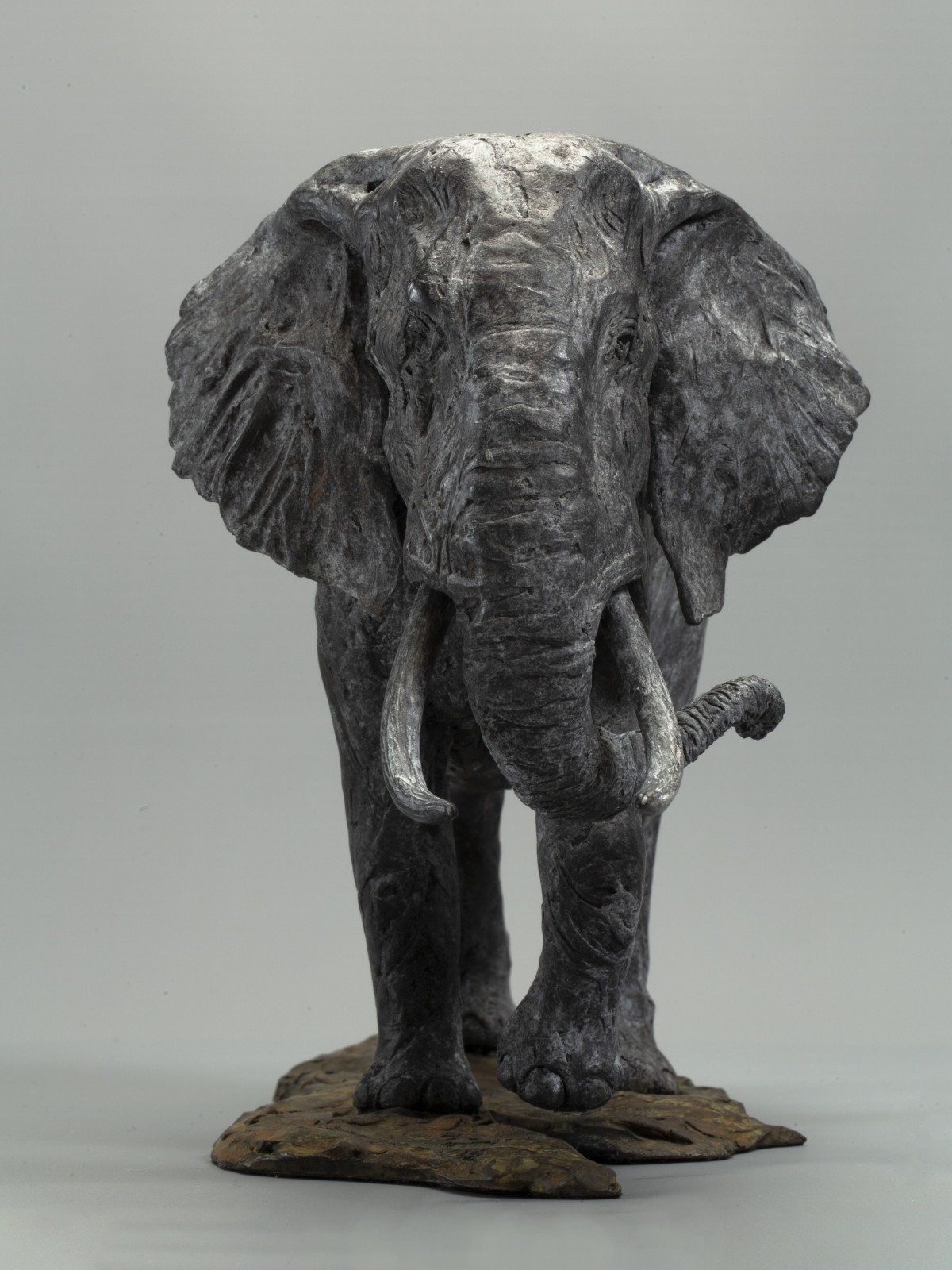 African Bull Elephant