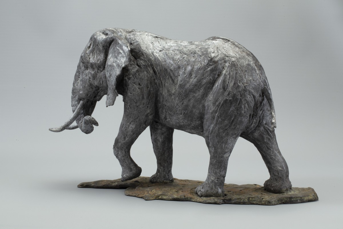 African Bull Elephant