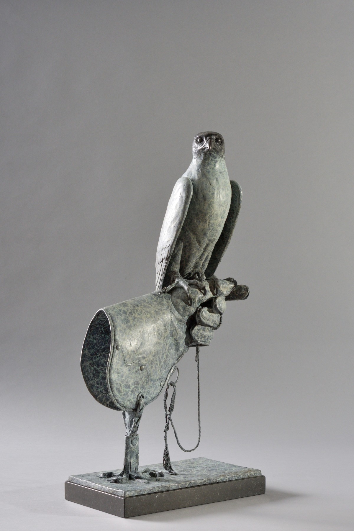 Peregrine Falcon