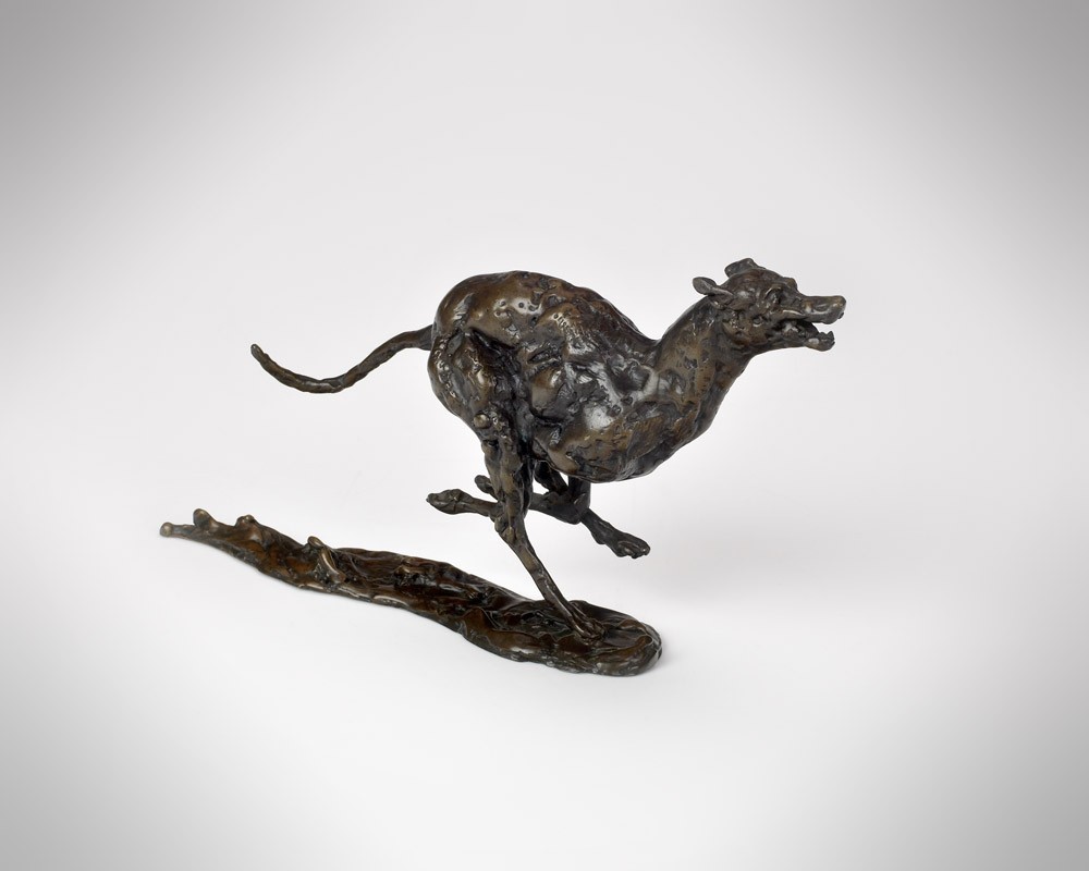 Bunched Greyhound