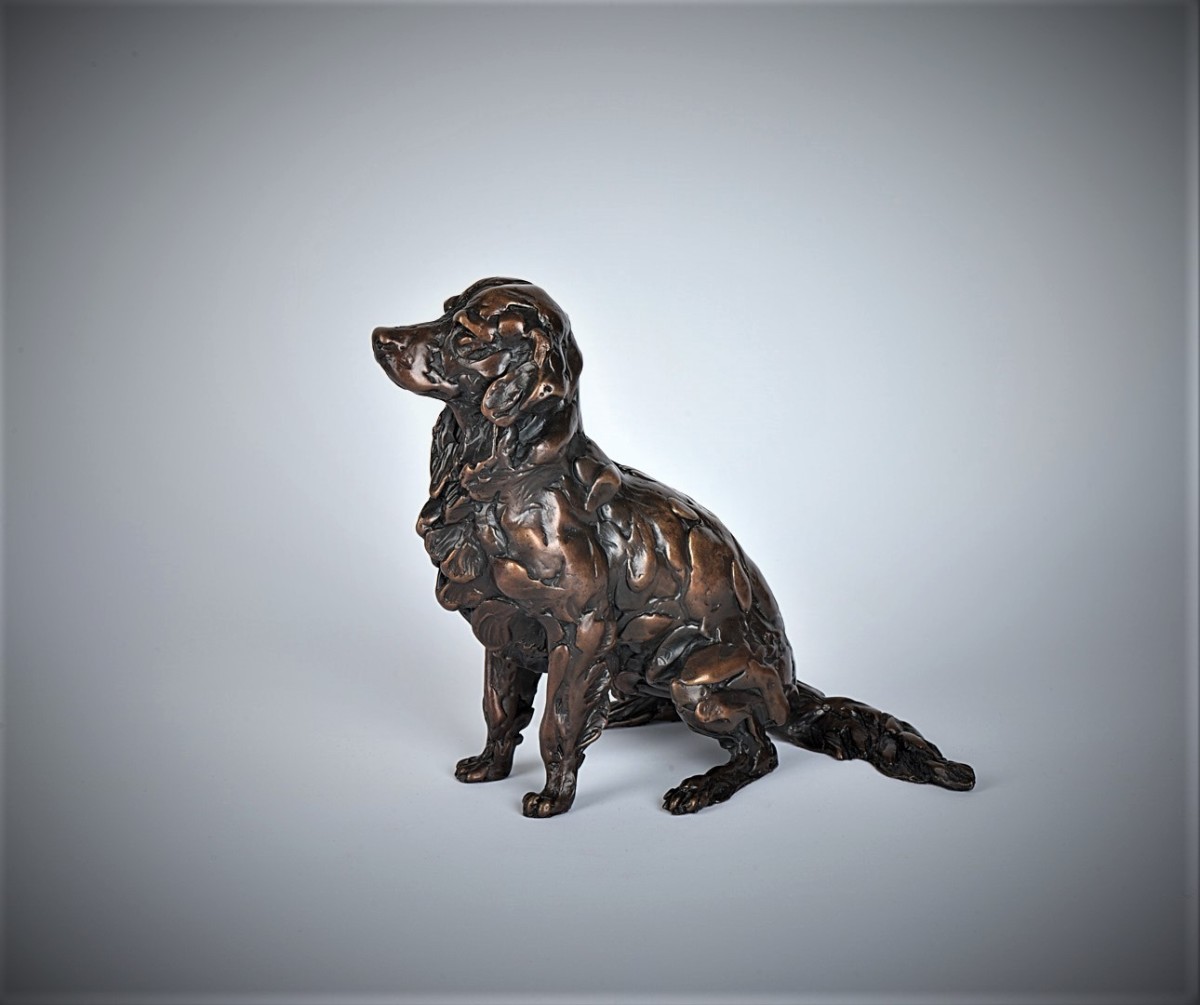 Golden Retriever, Sitting