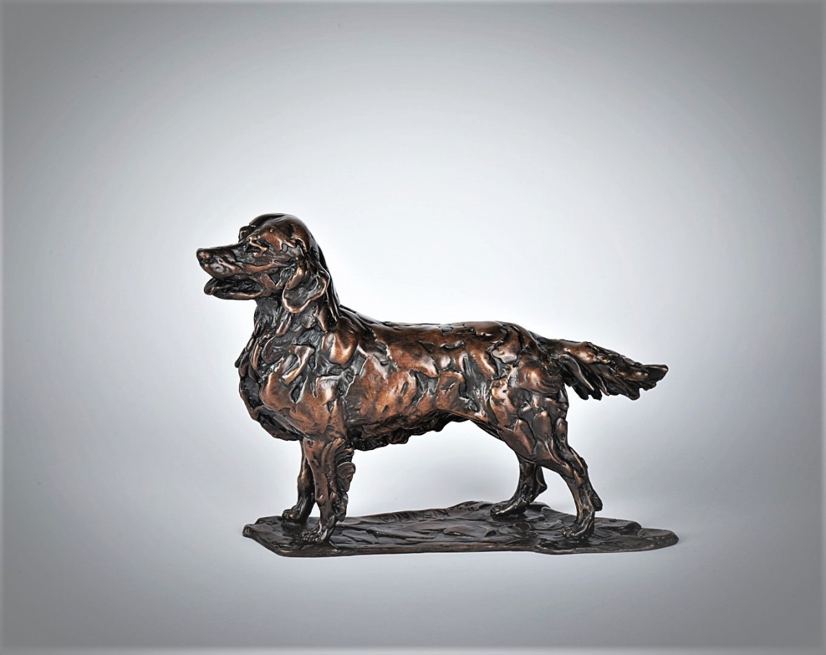 Golden Retriever, Standing