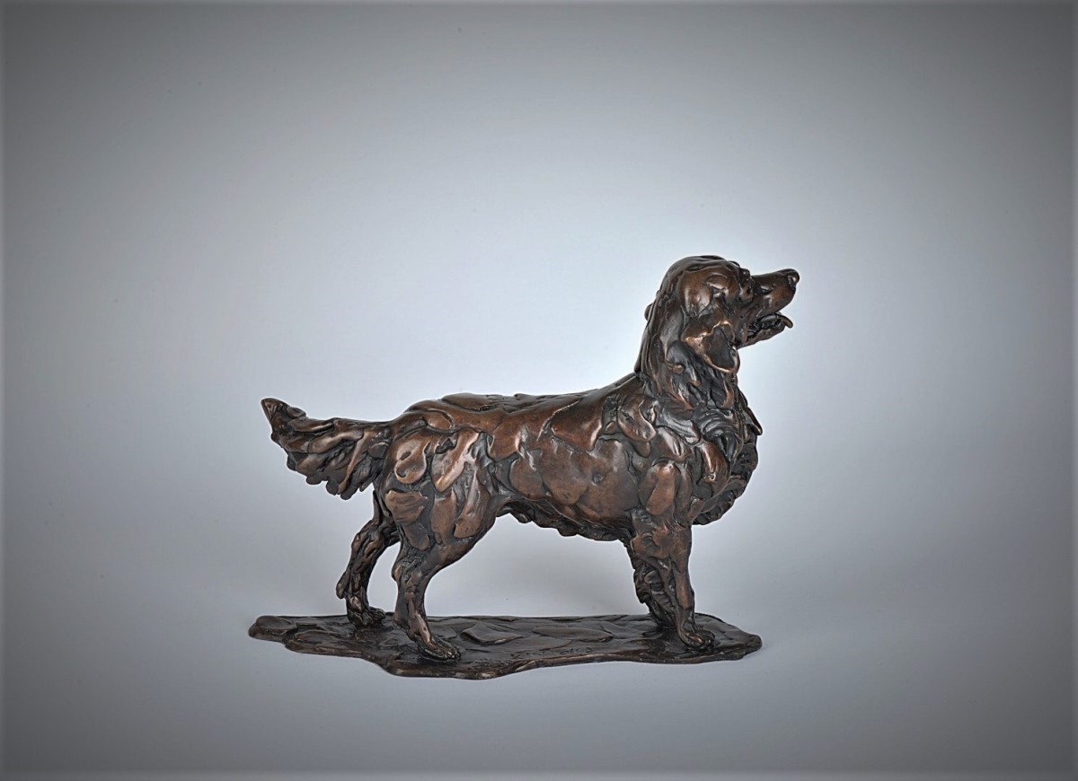 Golden Retriever, Standing
