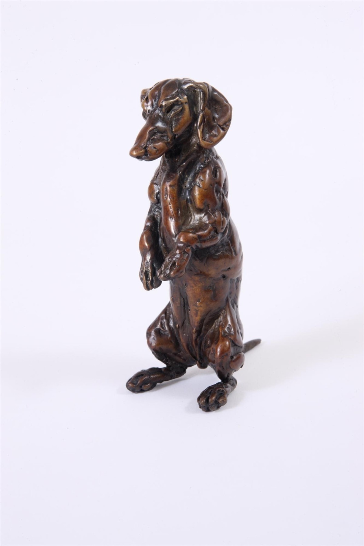 Sitting Dachshund