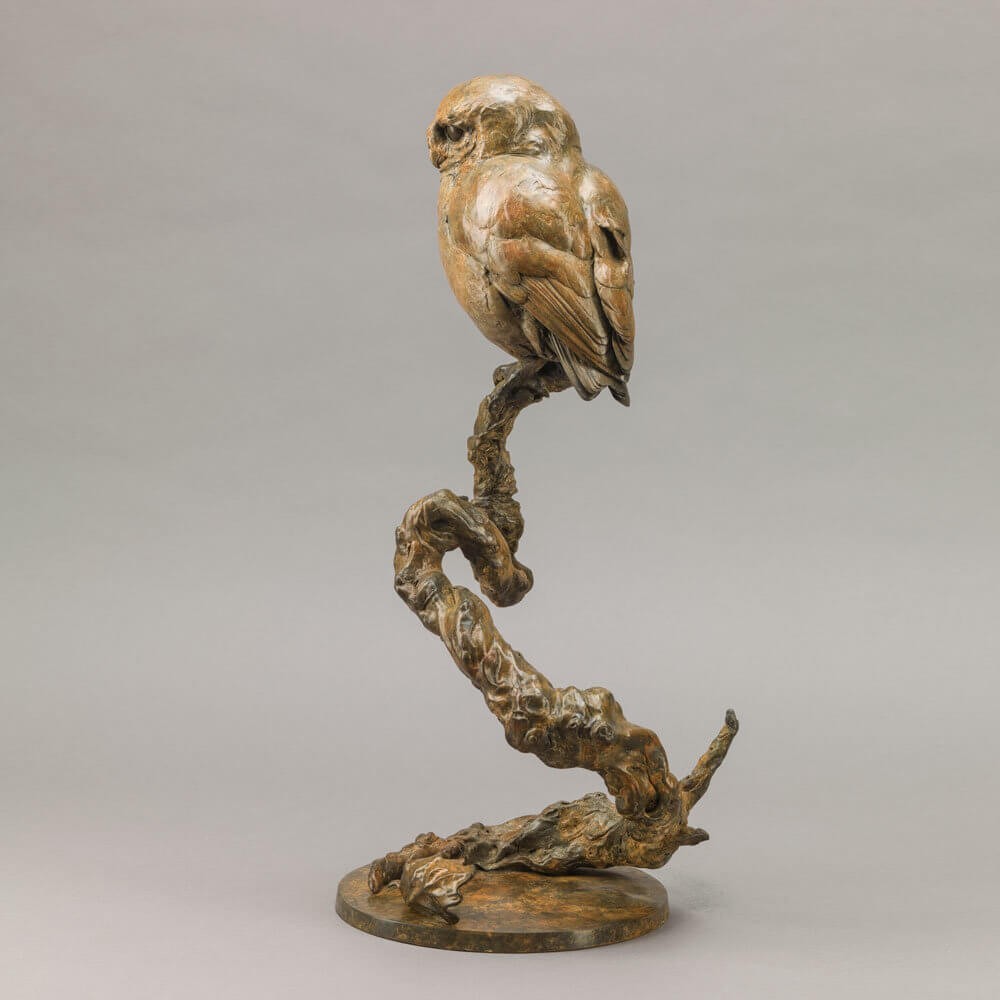Little Owl II