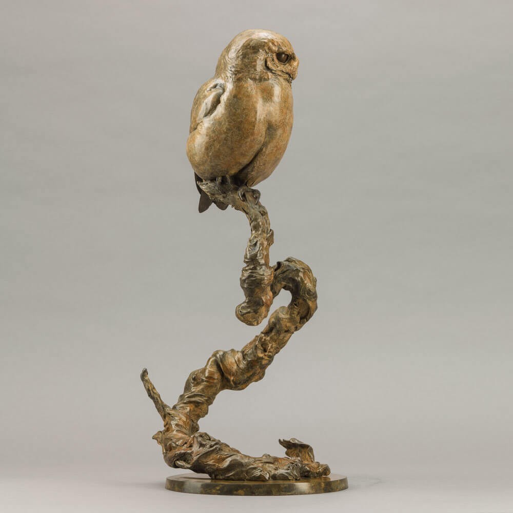Little Owl II