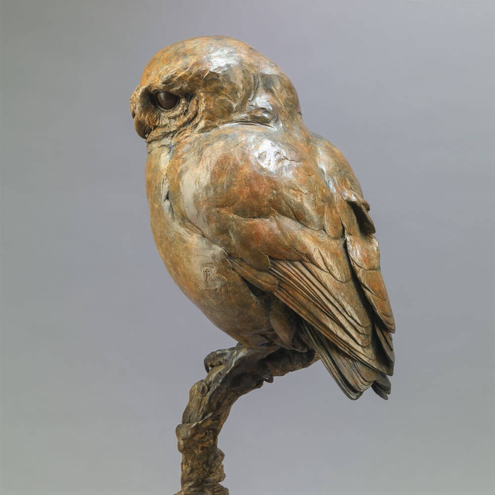 Little Owl II
