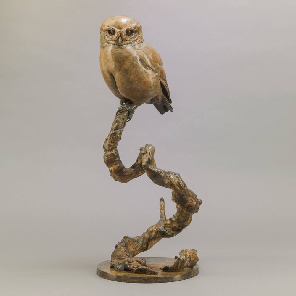Little Owl II