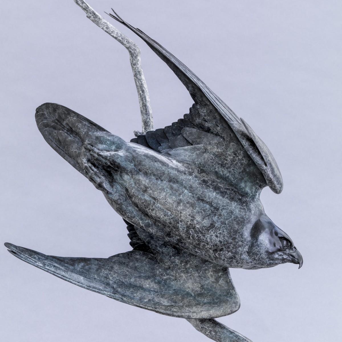 Peregrine II “Lightning Bolt”