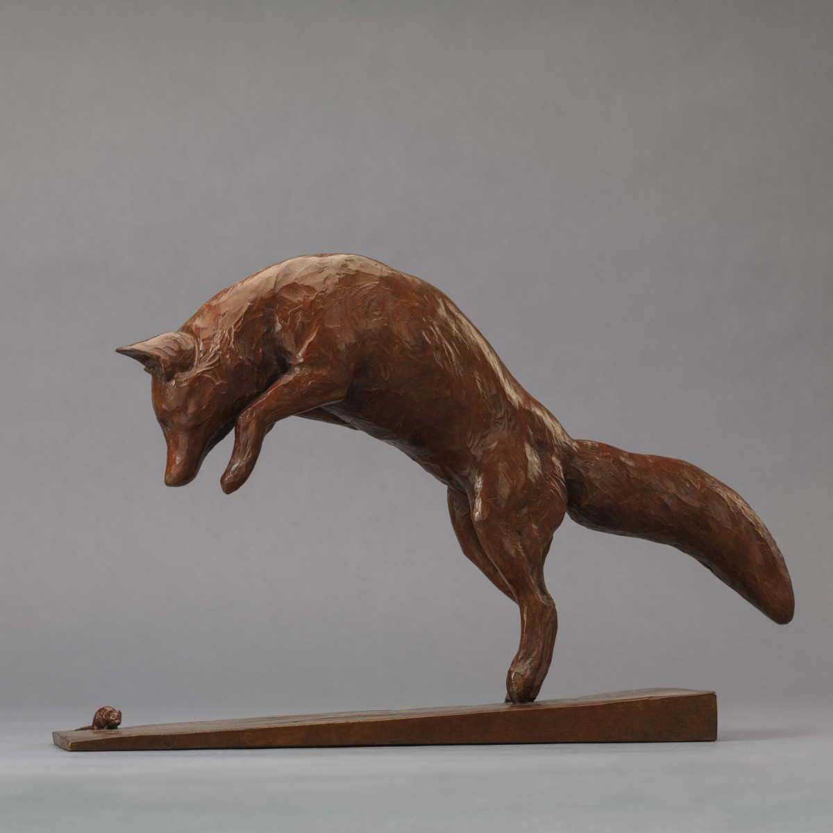 Red Fox
