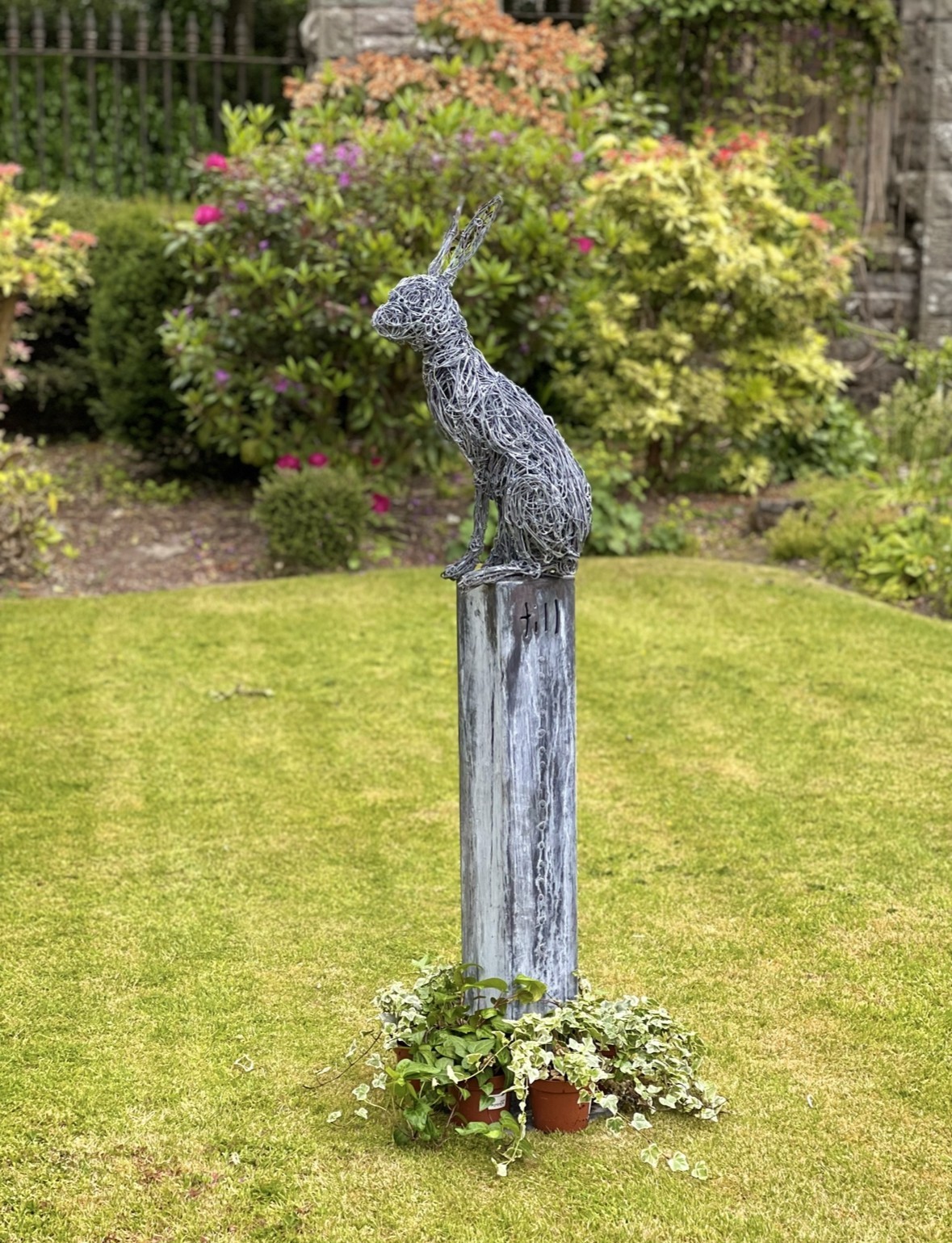 Hare