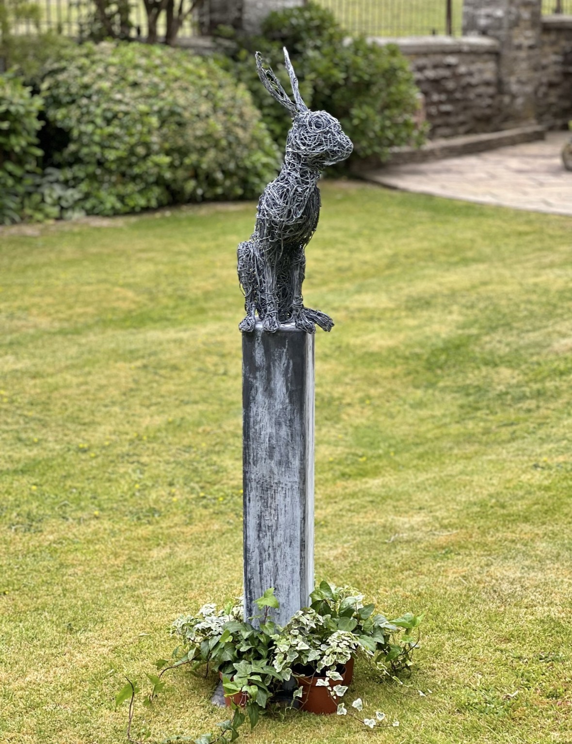 Hare