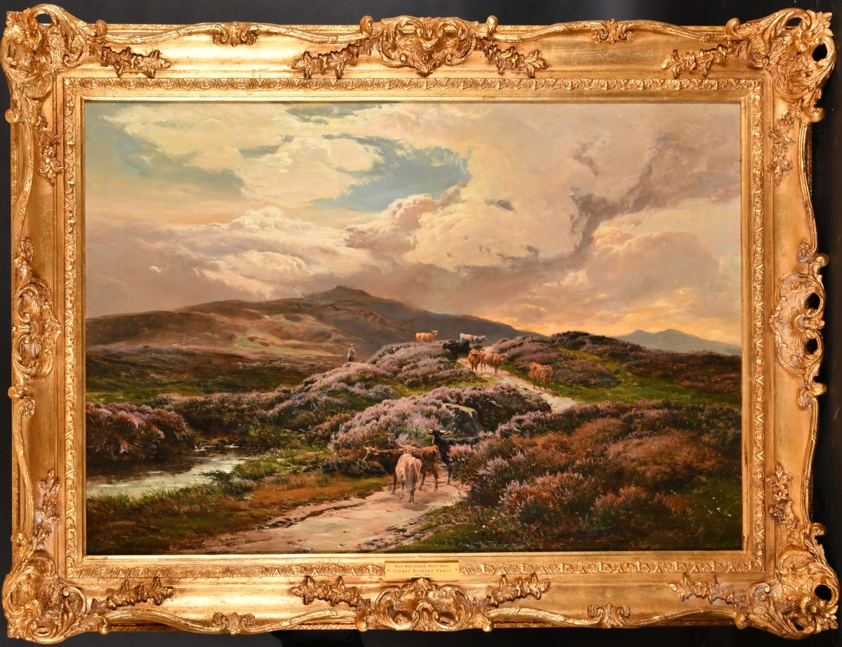 Moel Siabod, Snowdonia